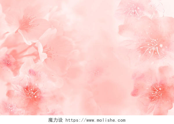 粉色梦幻唯美浪漫樱花花朵旅游美容背壁纸纹理几何线条插画